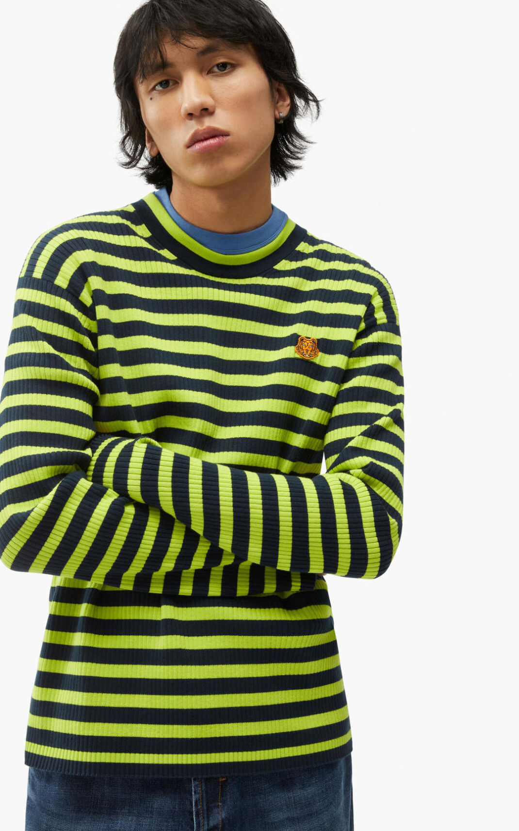 Pull Kenzo Striped Tiger Crest Homme Vert Clair | MLTW-30425